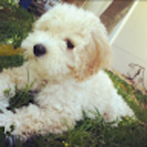 Meet your Posher, Katya